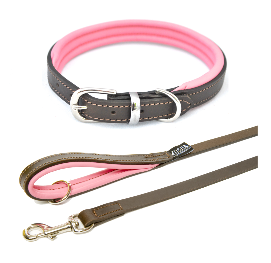 dog collars and leads